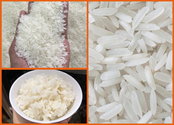Gạo 5451 - Cơm mềm, dẻo vừa phải, tơi xốp, giá bình dân