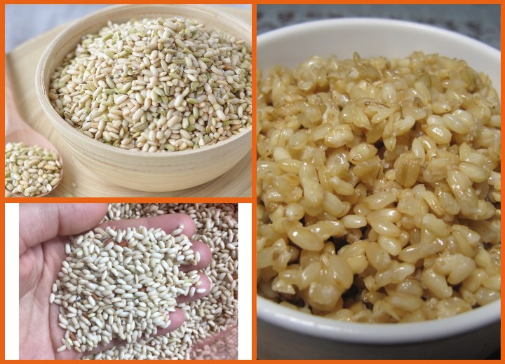 Gạo Nếp Lứt - dai, dẻo, thơm, ngọt nhẹ