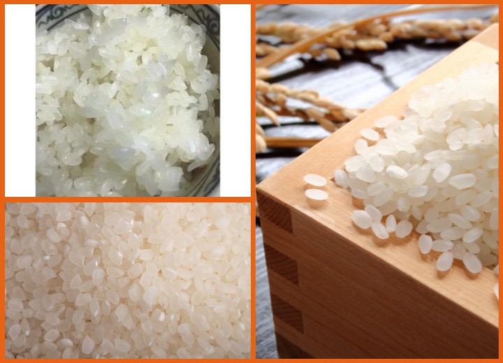 Gạo Nhật Japonica - Hạt gạo tròn, cơm mềm dẻo