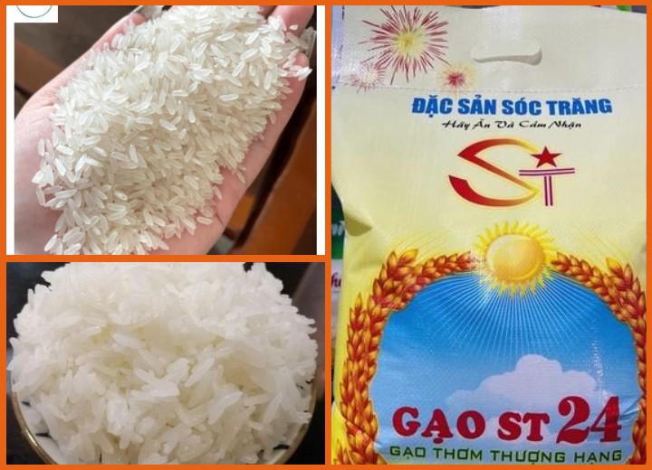 Gạo ST24 đặc sản Sóc Trăng